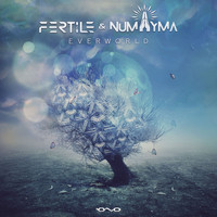 Fertile and Numayma - Everworld