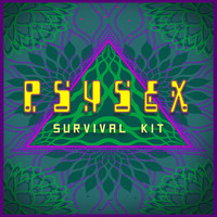 PsySex - The Singles, Vol. 4
