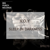 V.O.Y - Sleep in Darkness