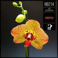 Aziz Bayraktar - Vaveyla
