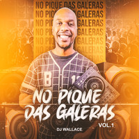 Dj wallace - No Pique das Galeras, Vol. 1