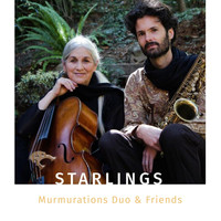 Murmurations Duo - Starlings
