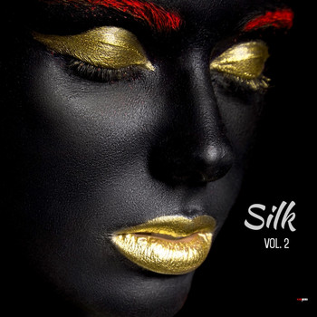 Various  Artists - Silk Vol 2
