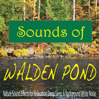 Steven Current - Sounds of Walden Pond: Nature Sound Effects for Relaxation, Deep Sleep, & Background White Noise