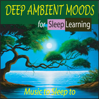 Steven Current - Deep Ambient Moods for Sleep Learning: Music to Sleep To