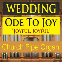 Steven Current - Wedding Ode to Joy: Joyful Joyful  (Church Pipe Organ)