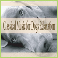 Steven Current - Classical Music for Dogs Relaxation