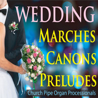 Steven Current - Wedding Marches, Canons, & Preludes (Church Pipe Organ Processionals)