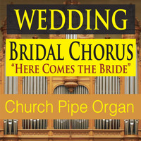 Steven Current - Wedding Bridal Chorus (Here Comes the Bride) [Church Pipe Organ]