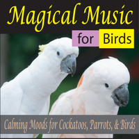 Steven Current - Magical Music for Birds: Calming Moods for Cockatoos, Parrots, & Birds