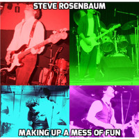 Steve Rosenbaum - Making up a Mess of Fun
