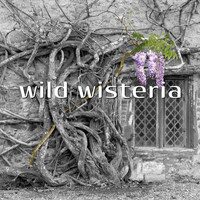 Wild Wisteria - Wild Wisteria
