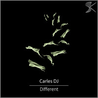 Carles DJ - Different