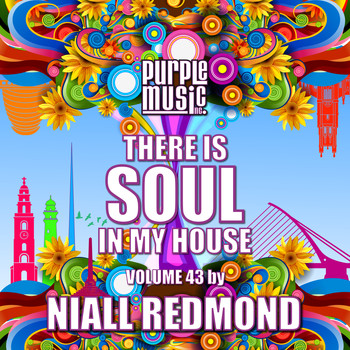 Various Artists - Niall Redmond Presents There is Soul in My House, Vol. 43