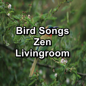 Nature - Bird Songs Zen Livingroom