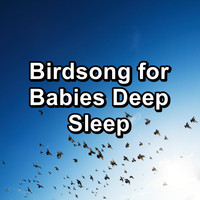 Spa Relax Music - Birdsong for Babies Deep Sleep