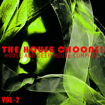 Various Artists - The House Choons!, Vol. 2