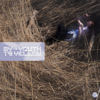 Mori Mori - my youth is yellow