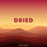 John Sykes - DRIED