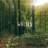 Abyss - Walden