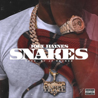 Joey Haynes - Snakes (Explicit)