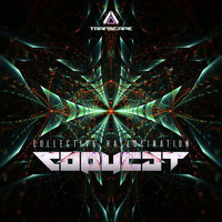Copycat - Collective Hallucination