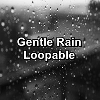 Sleep - Gentle Rain Loopable