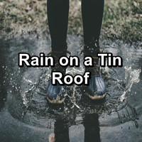 Binaural Beats Deep Sleep - Rain on a Tin Roof