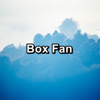 Fan - Box Fan