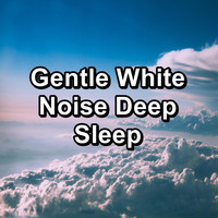 Tmsoftï¿½s White Noise Sleep Sounds - Gentle White Noise Deep Sleep