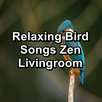 Animal and Bird Songs - Relaxing Bird Songs Zen Livingroom