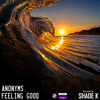 Anonyms - Feeling Good