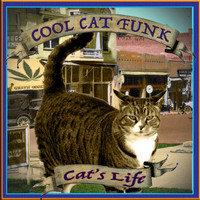 Cool Cat Funk - Cat's Life
