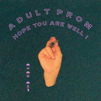 Adult Prom - Hope You Are Well! (Explicit)