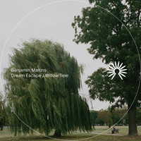 Benjamin Martins - Dream Escape / Willow Tree