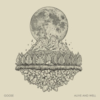 Goose - Alive and Well (Live)