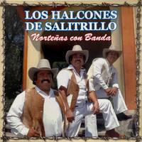 Los Halcones De Salitrillo - Norteñas Con Banda