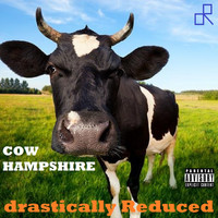 drastically Reduced / - Cow Hampshire