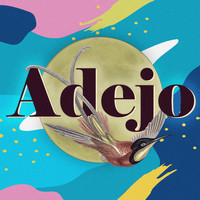 Various Artists / - Adejo
