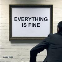 Hawk Eyes / - Everything Is Fine