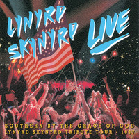 Lynyrd Skynyrd - Southern By The Grace Of God: Lynyrd Skynyrd Tribute Tour  1987 (Live)