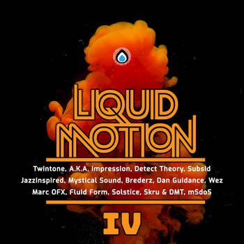 Various Artists - Liquid Motion IV