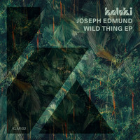 Joseph Edmund - Wild Thing EP