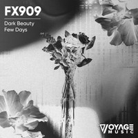 FX909 - Dark Beauty / Few Days