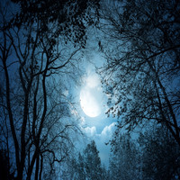 Vadim - Night