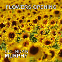 Brendan Murphy - Flowers Opening
