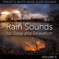 Tmsoft's White Noise Sleep Sounds - Rain Sounds for Sleep and Relaxation Volume 5