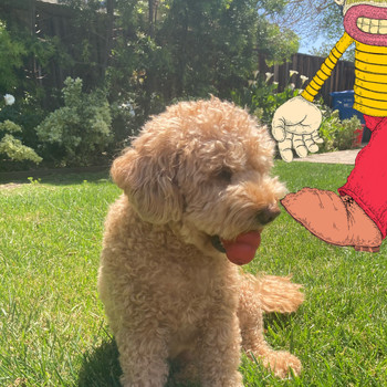 Nathan Lee - It Feels So Nice!