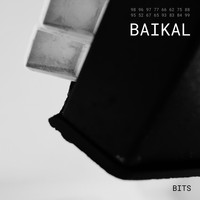Bits - Baikal