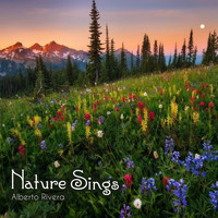 Alberto Rivera - Nature Sings